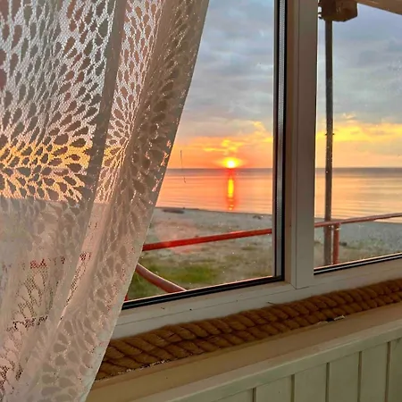 Torn The Tower Toila